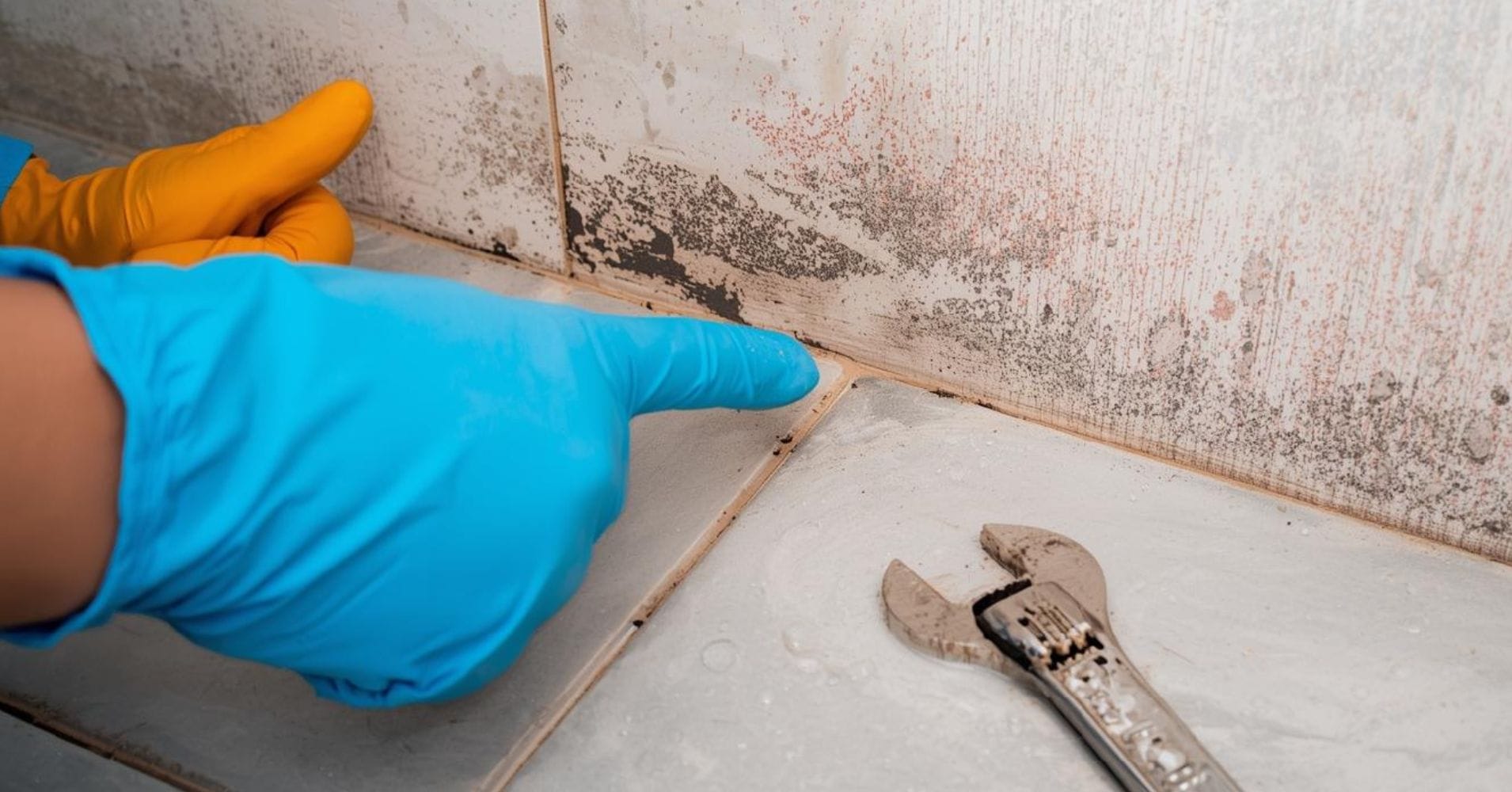 Renovating a Bathroom in an Older Brisbane Home