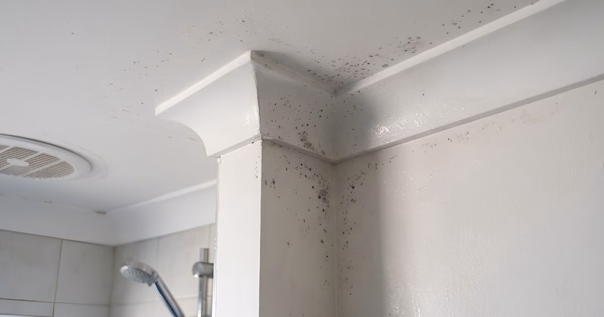 signs-of-bathroom-fan-not-working